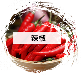辣椒