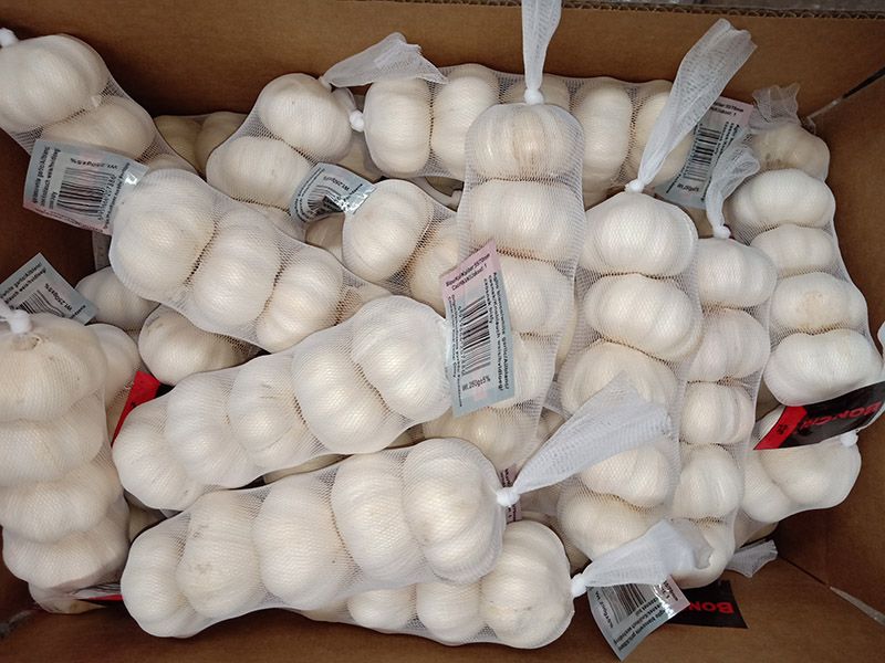 巨野大蒜历史种植