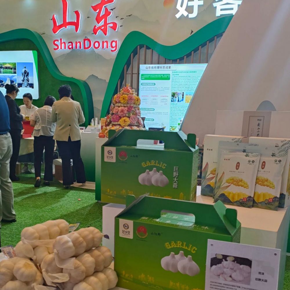 探索菏泽地标产品之韵7 | 巨野大蒜：地标赋能，一头大蒜闯出致富路