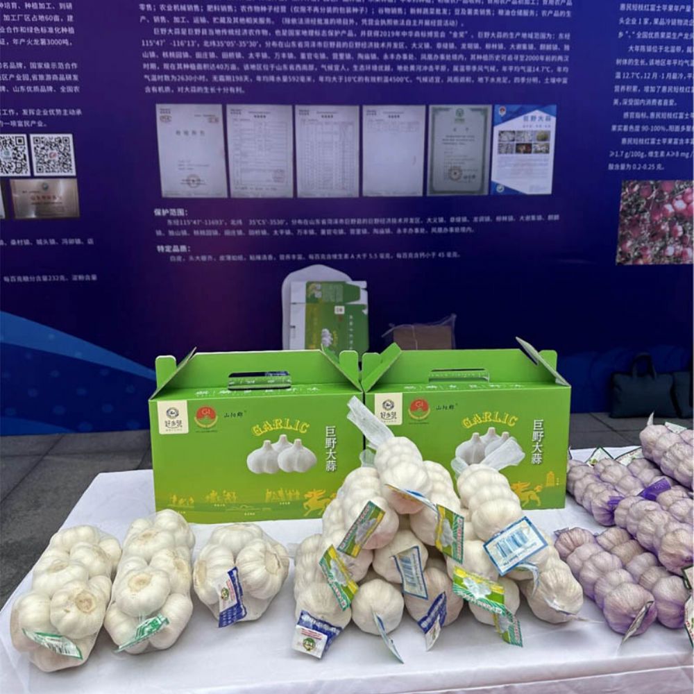 探索菏泽地标产品之韵7 | 巨野大蒜：地标赋能，一头大蒜闯出致富路