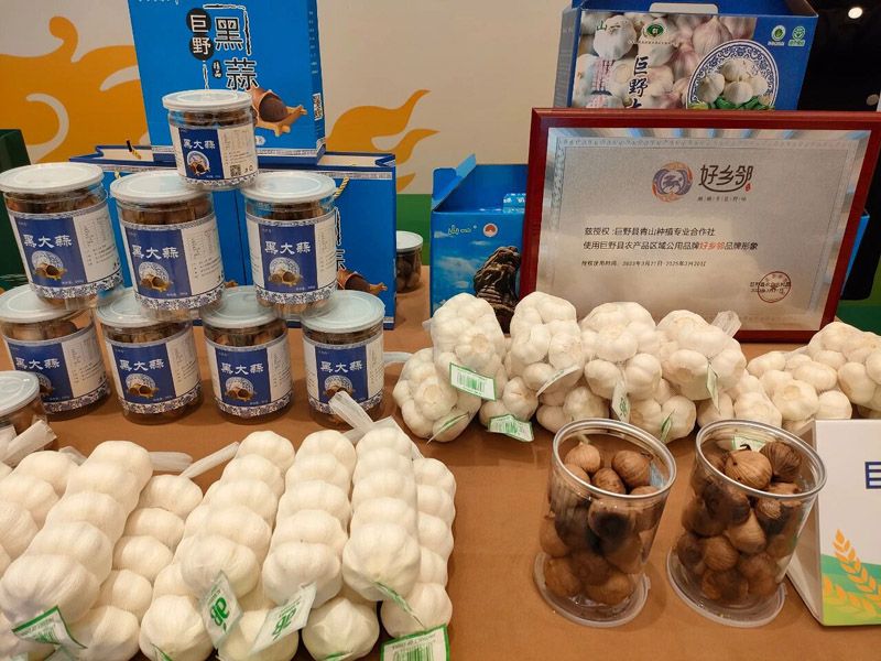 探索菏泽地标产品之韵7 | 巨野大蒜：地标赋能，一头大蒜闯出致富路