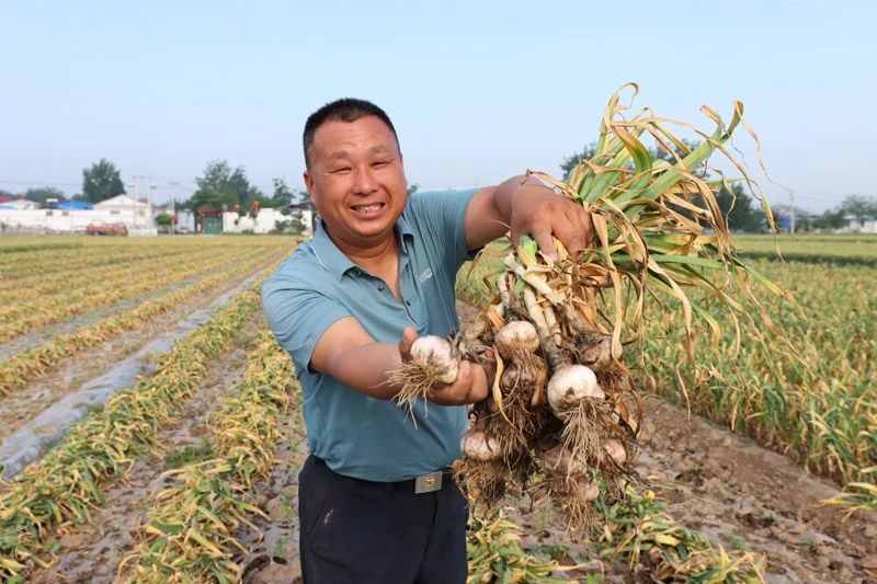 菏泽新增3件国家地理标志产品！