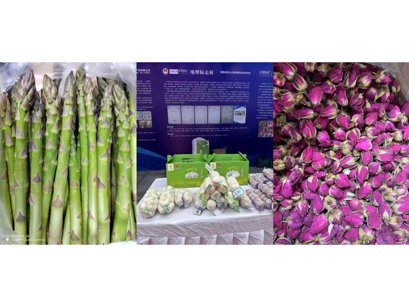 菏泽市新增3件国家地理标志产品 以“地标赋能”激 活乡村振兴新动能