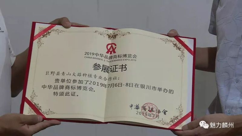 恭喜！巨野大蒜荣获“2019中华品牌商标博览会金奖”