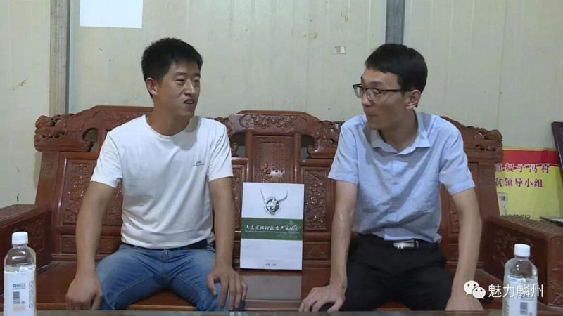 恭喜！巨野大蒜荣获“2019中华品牌商标博览会金奖”